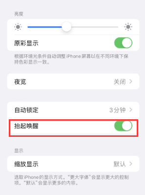 三亚苹果授权维修站分享iPhone轻点无法唤醒怎么办