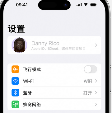 三亚appleID维修服务iPhone设置中Apple ID显示为灰色无法使用 