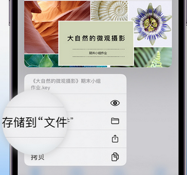 三亚apple维修中心分享iPhone文件应用中存储和找到下载文件