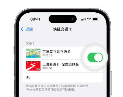 三亚apple维修点分享iPhone上更换Apple Pay快捷交通卡手绘卡面 