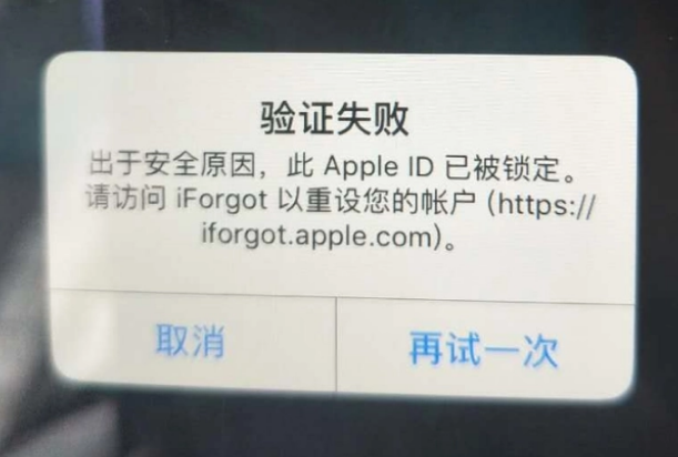 三亚iPhone维修分享iPhone上正常登录或使用AppleID怎么办 