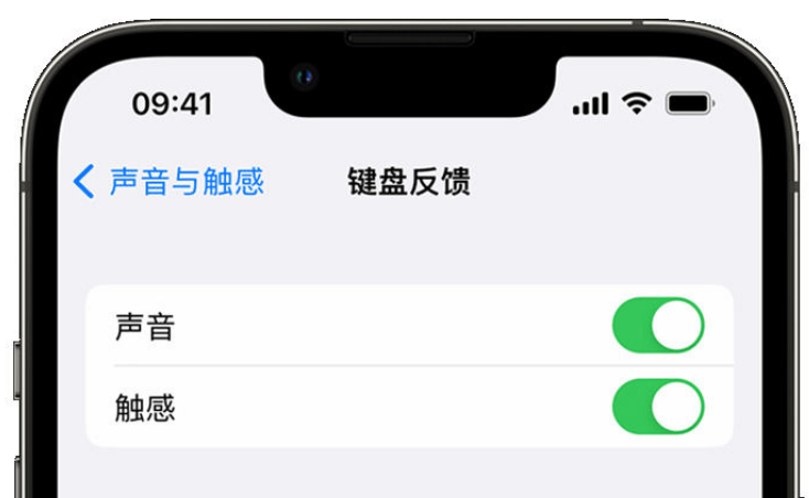 三亚苹果手机维修分享iPhone 14触感键盘使用方法 