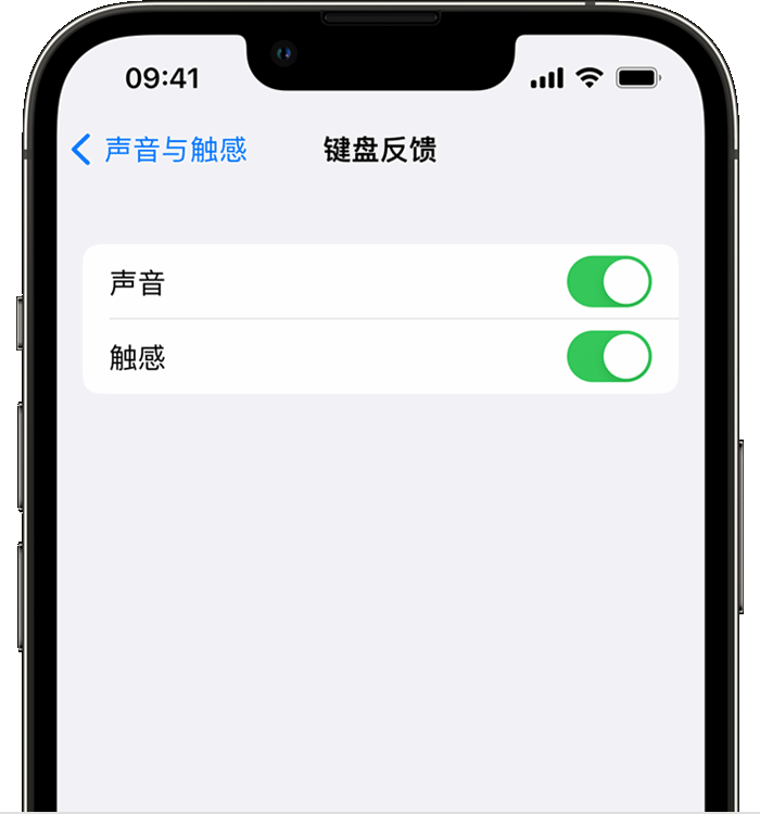 三亚苹果14维修店分享如何在 iPhone 14 机型中使用触感键盘 