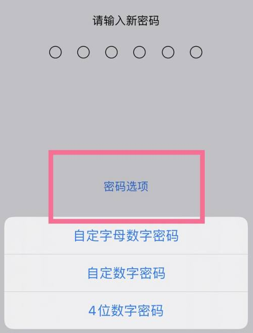 三亚苹果14维修分享iPhone 14plus设置密码的方法 