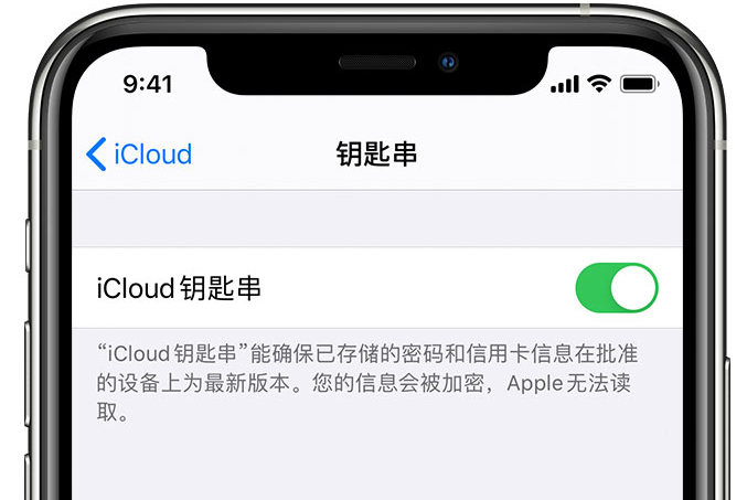 三亚苹果手机维修分享在 iPhone 上开启 iCloud 钥匙串之后会储存哪些信息 