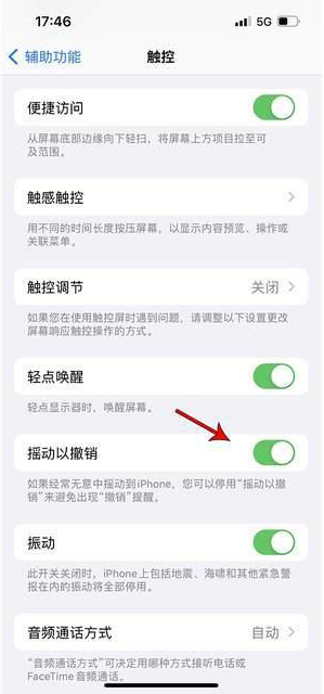 三亚苹果手机维修分享iPhone手机如何设置摇一摇删除文字 