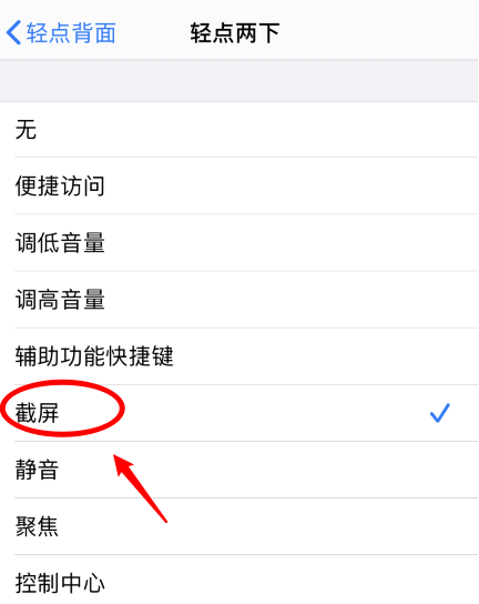 三亚苹果手机维修分享iPhone12如何启用双击截屏 